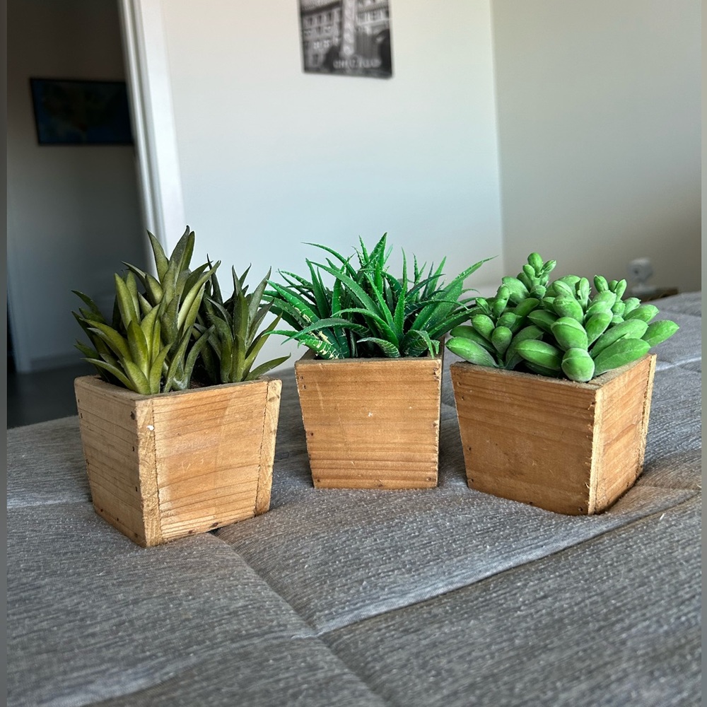 Faux House Plants